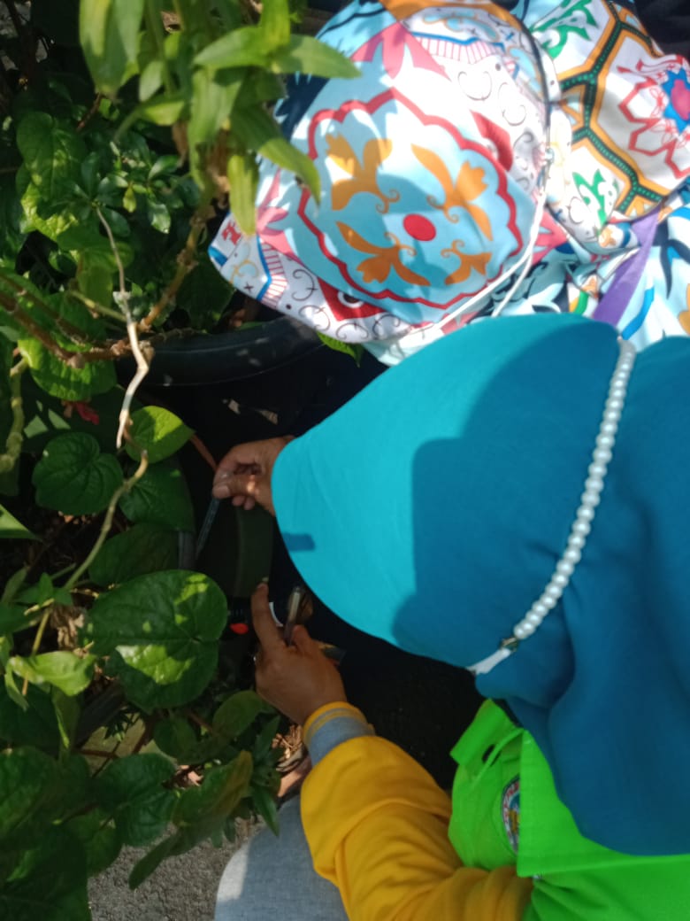 grebek jentik wilayah rw 18 1