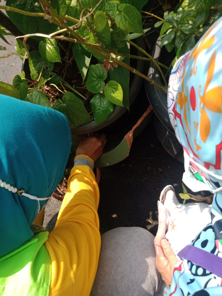 grebek jentik wilayah rw 18 1