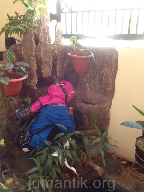 silent Survei 1 rumah 1 jumantik3